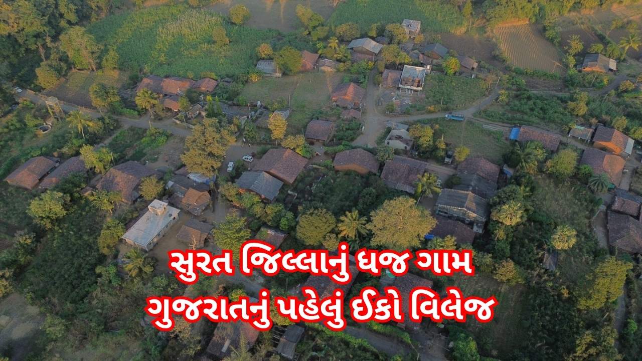 સુરત જિલ્લાનું ધજ ગામ ગુજરાતનું પહેલું ઈકો વિલેજ