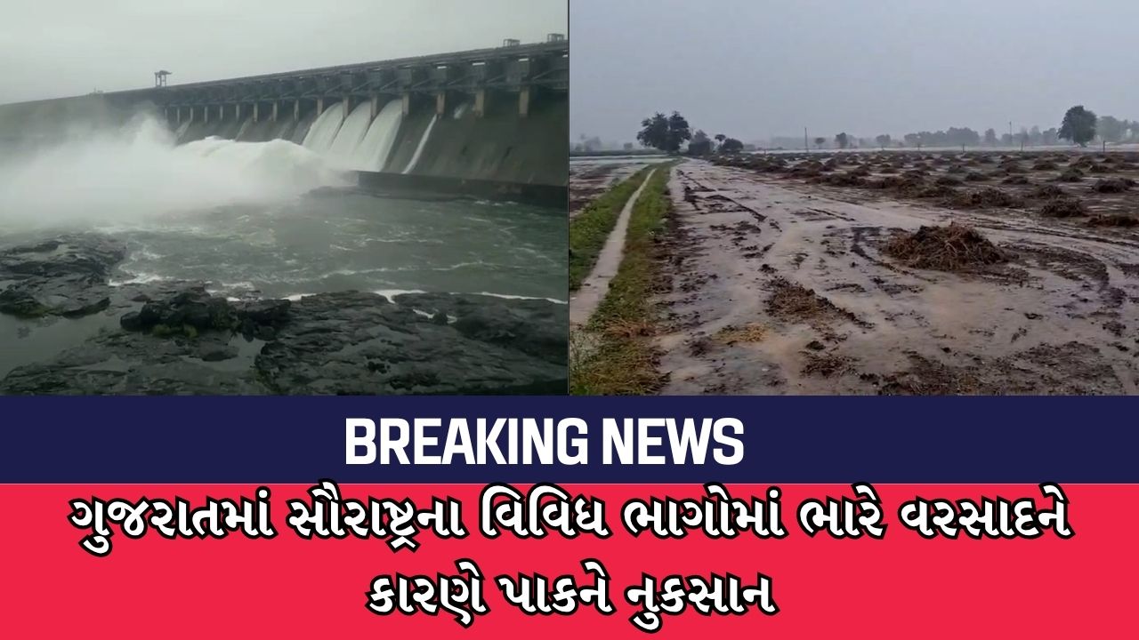 ગુજરાતમાં સૌરાષ્ટ્રના વિવિધ ભાગોમાં ભારે વરસાદને કારણે પાકને નુકસાન