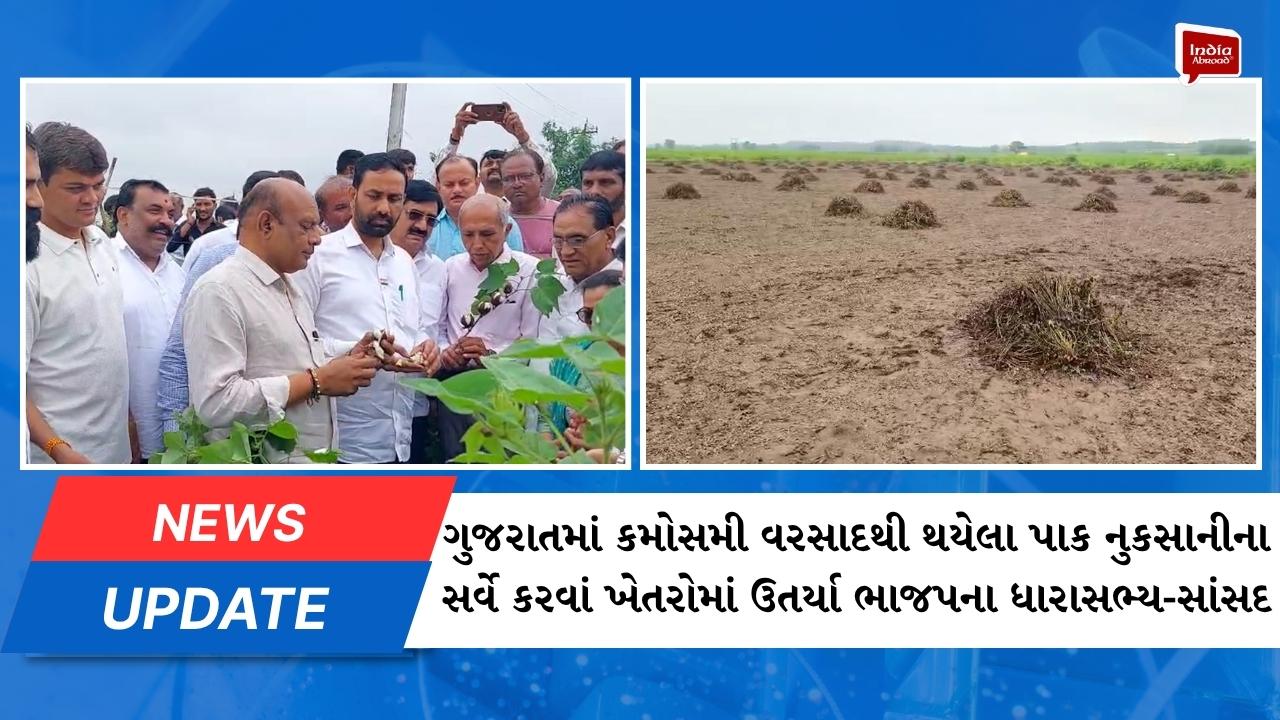 કમોસમી વરસાદથી થયેલા પાક નુકસાનીના સર્વે કરવાં ખેતરોમાં ઉતર્યા ભાજપના ધારાસભ્ય-સાંસદ