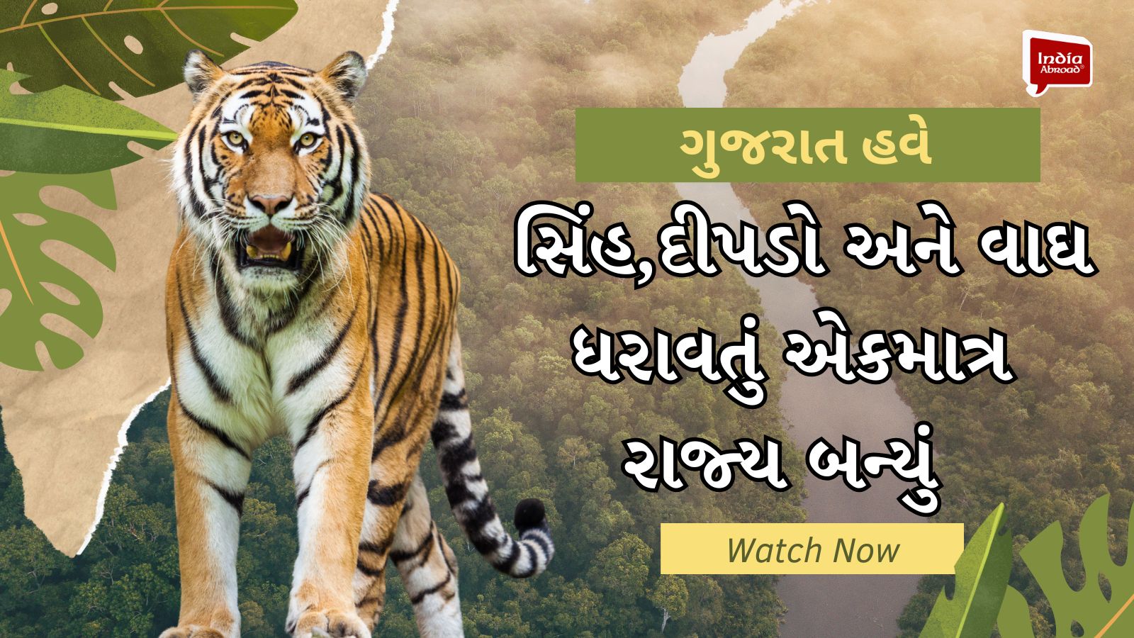 ગુજરાત હવે સિંહ, દીપડો અને વાઘ ધરાવતું એકમાત્ર રાજ્ય બન્યું