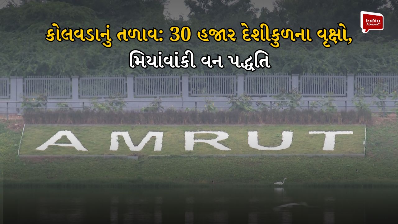 કોલવડાનું તળાવ: 30 હજાર દેશીકુળના વૃક્ષો, મિયાંવાંકી વન પદ્ધતિ