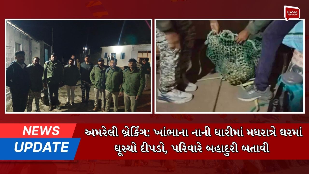 અમરેલી બ્રેકિંગ:ખાંભાના નાની ધારીમાં મધરાત્રે ઘરમાં ઘૂસ્યો દીપડો, પરિવારે બહાદુરી બતાવી